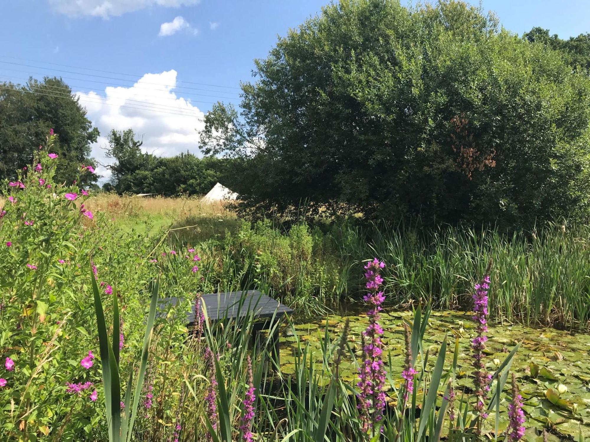 Willa Lilypad, Iris And Bulrush Swannington  Zewnętrze zdjęcie